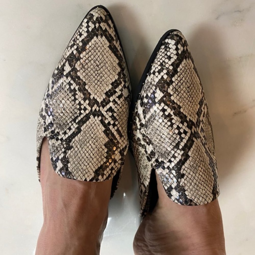 LOFT Flats snakeskin pointy toed